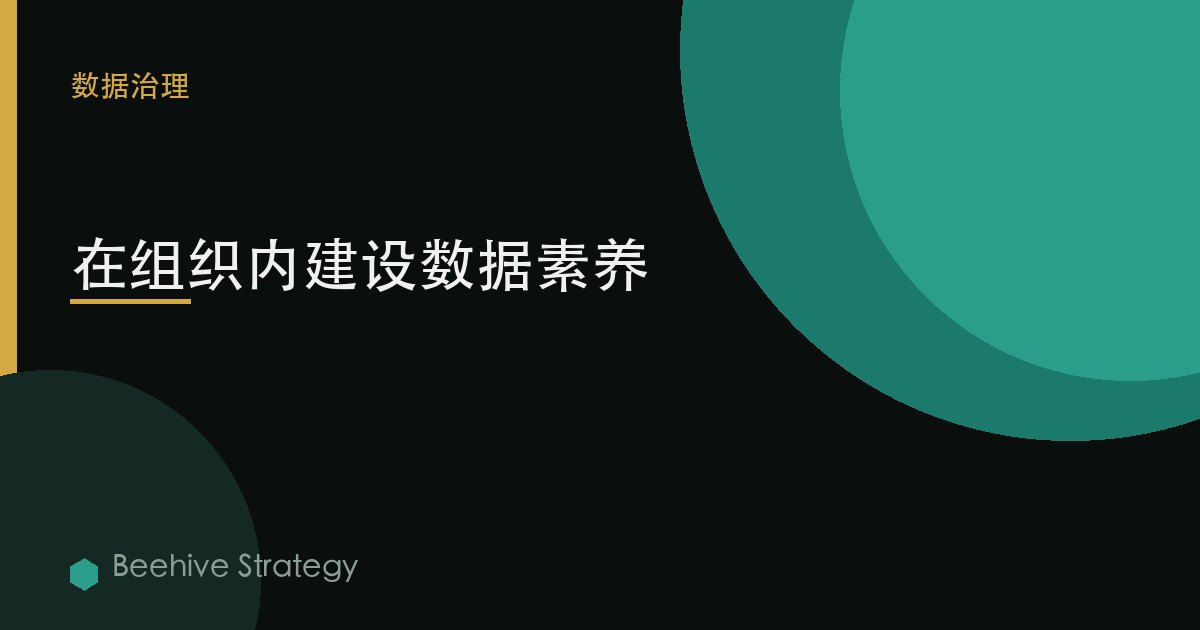 在组织内建设数据素养